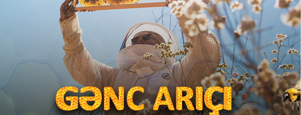 "ABAD" takes part in the following stage of the "Young Beekeeper" project